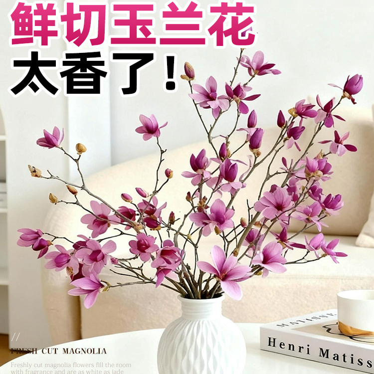 鲜切玉兰花礼物客厅美观盆栽水培