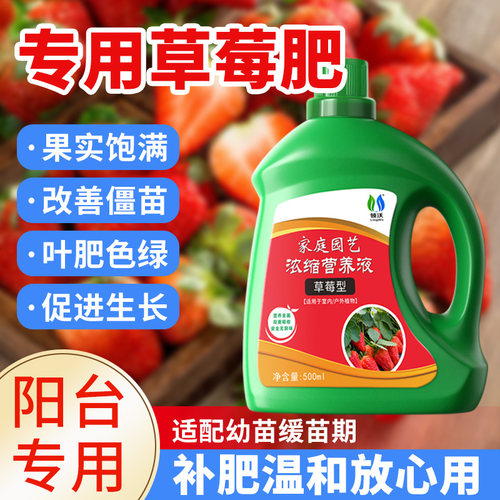草莓专用肥营养液植物液体肥料肥