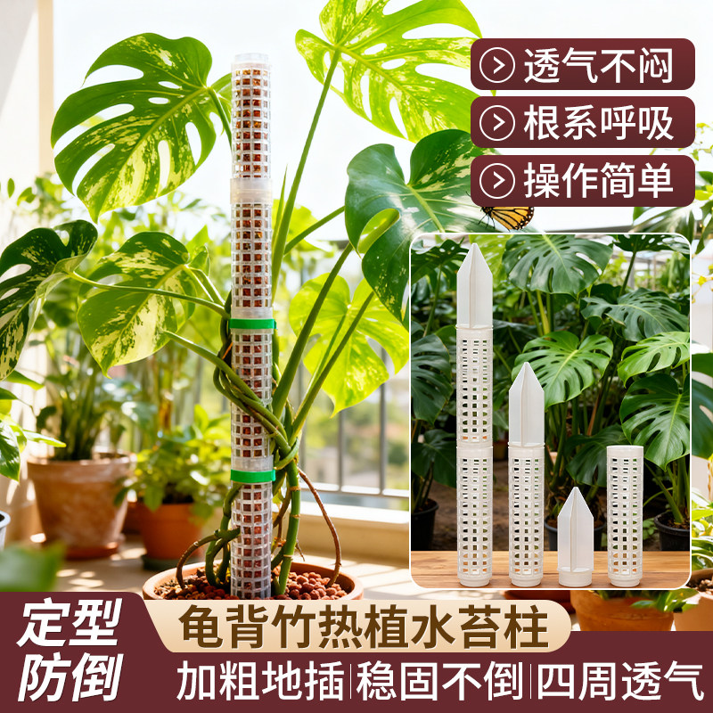 水苔柱爬藤植物专用新型加厚加粗图片