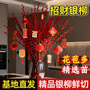 银柳真花鲜枝批发装饰花束耐寒年宵花红色干花枝室内客厅招财摆件