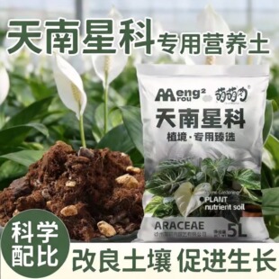 天南科星植物土热植专用龟背竹营养土蔓绿绒海芋泥炭土盆栽颗粒土
