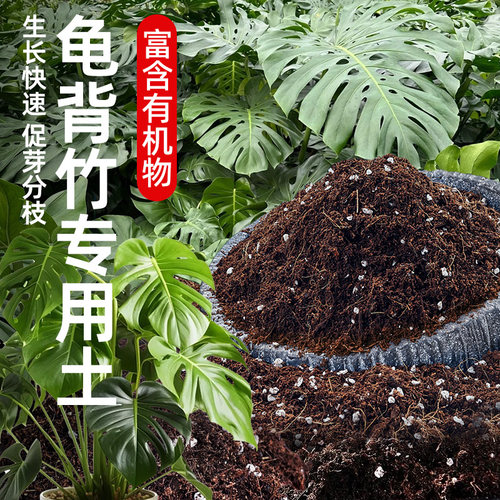 龟背竹专用土疏松透气无异味无虫