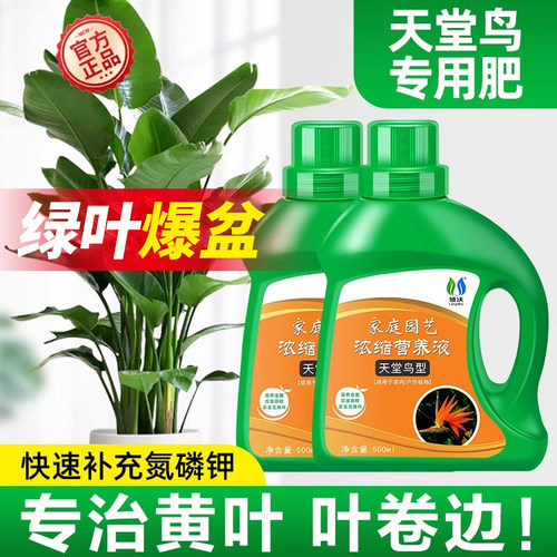 天堂鸟专用肥料营养液家用盆栽肥