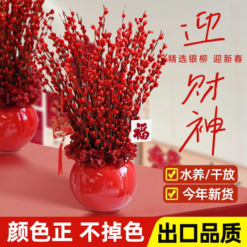 银柳真花鲜枝年宵花不掉色不掉果