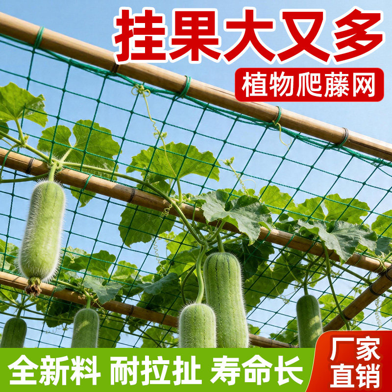爬藤网植物攀爬网丝瓜豆角黄瓜月季百香果通用瓜果新型瓜果网格网