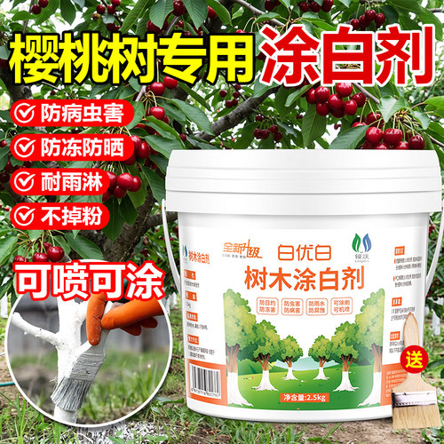 樱桃果树专用涂白剂抗寒防冻防虫