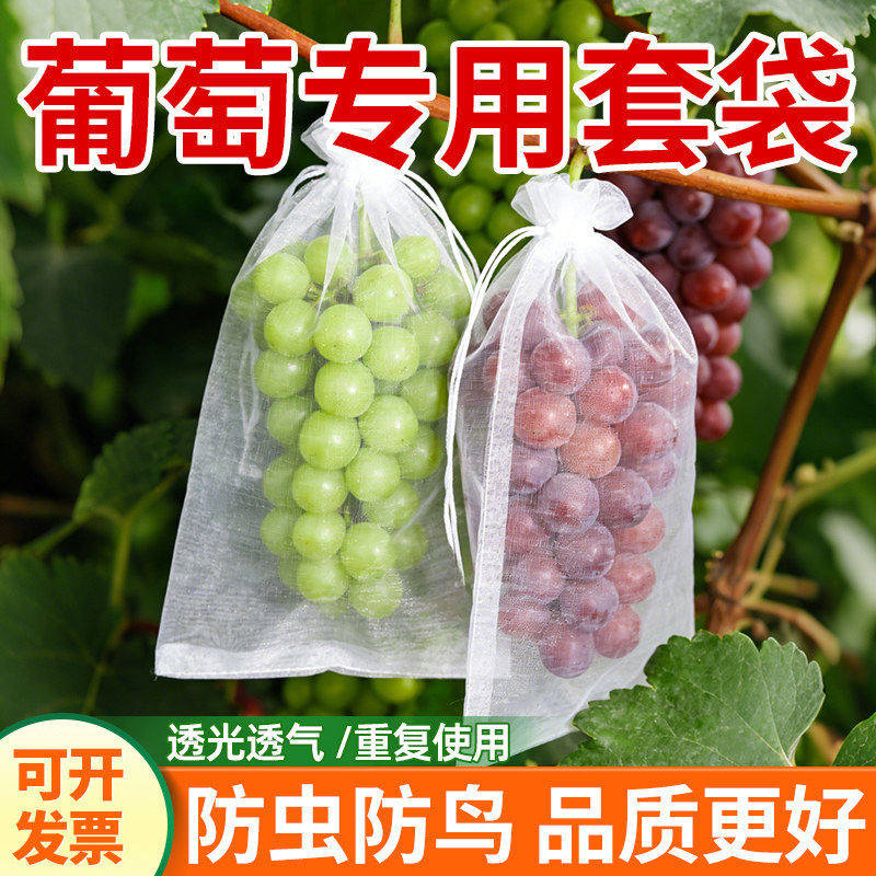 葡萄专用套袋防虫防鸟罩批发水果防果蝇露天防水透气防雨保护果树
