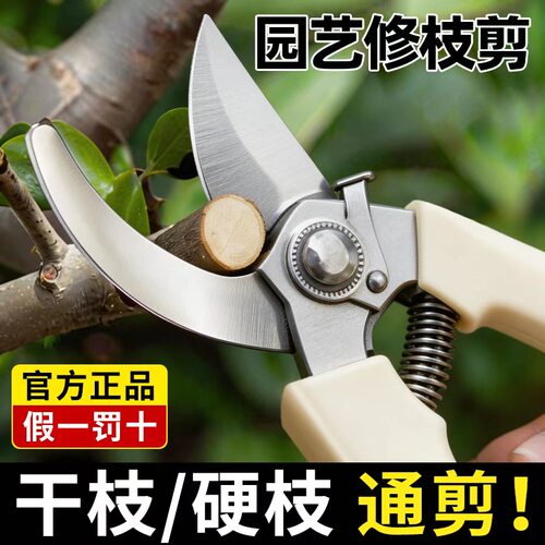 花剪园艺剪刀修剪树枝专用剪刀