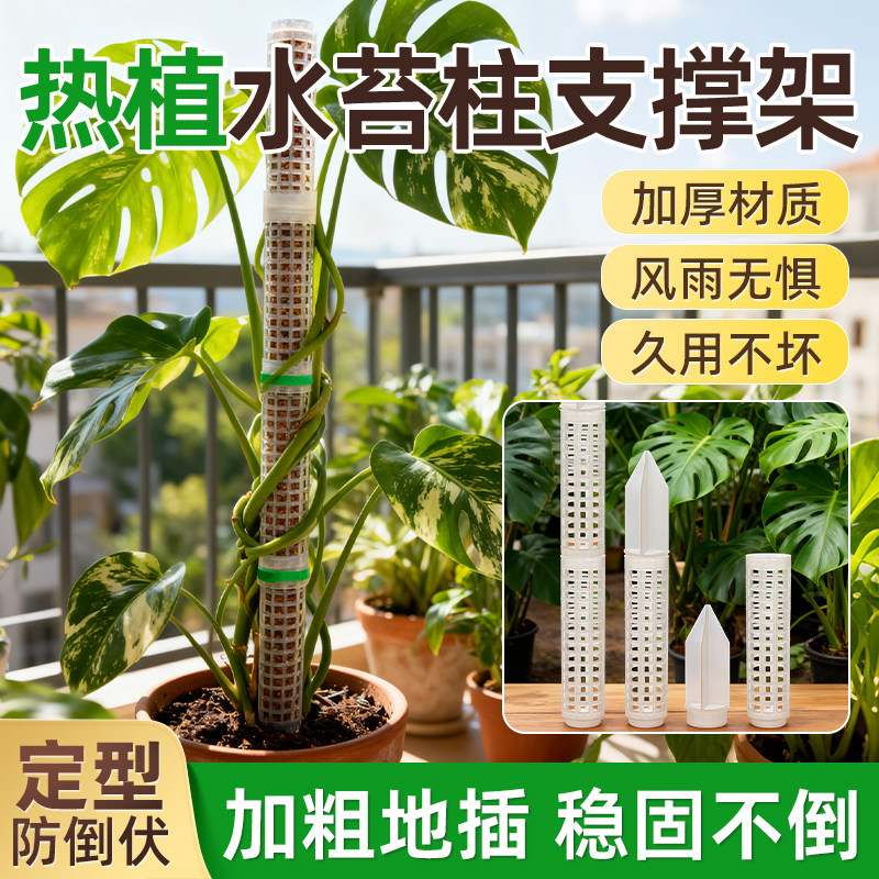 水苔柱爬藤植物专用新型加厚加粗图片