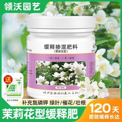 茉莉花肥料专用肥养花肥料