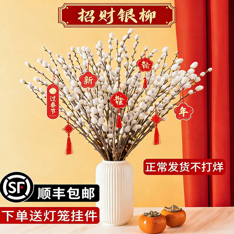 银柳真花鲜枝喜庆招财年宵花卉盆栽抱抱福桶室内客厅摆件水培绿植,鲜花速递/花卉仿真/绿植园艺,红掌/凤梨/温室花卉,淘宝优惠券,粉丝福利购,淘宝优惠卷