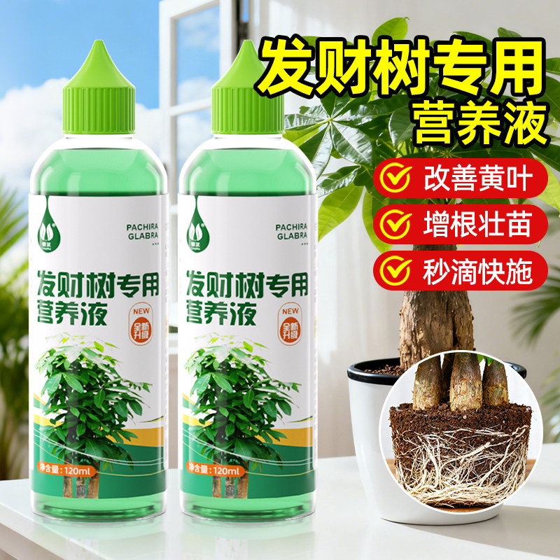 发财树专用营养液防黄叶烂根掉叶水培植物肥料富贵竹室内盆栽通用,鲜花速递/花卉仿真/绿植园艺,家庭园艺肥料,淘宝优惠券,粉丝福利购,淘宝优惠卷