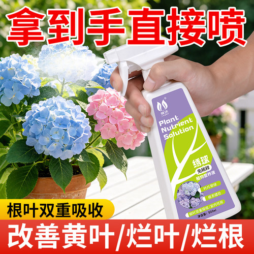 绣球花免稀释调蓝营养液