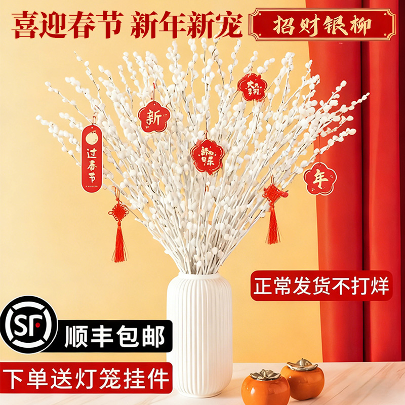 银柳真花鲜枝白色年宵花卉年货