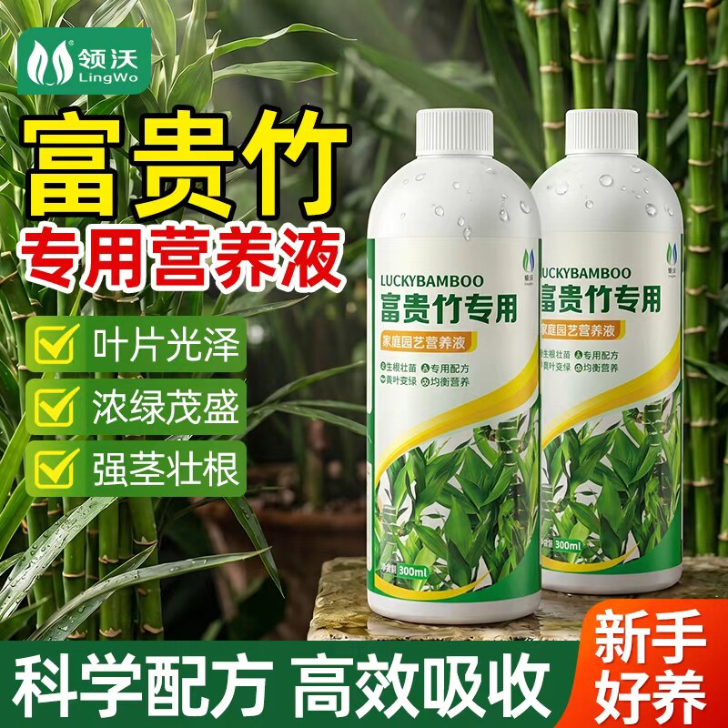 富贵竹专用营养液生根土培水培水养治叶子发黄观音竹植物通用肥料