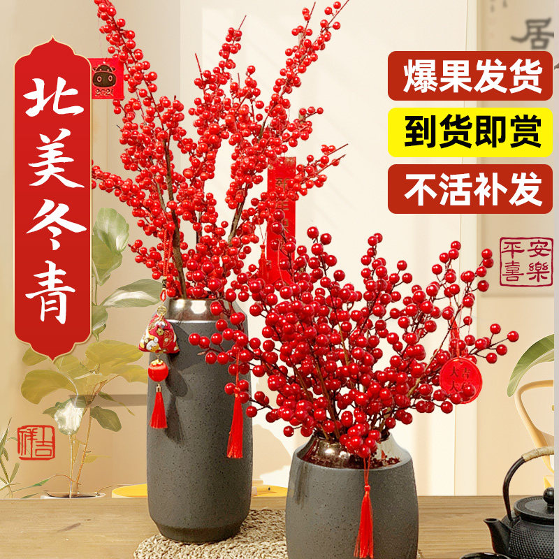 北美冬青盆栽植物果鲜切花年宵水培鲜花室内卧室客厅办公干花摆设,鲜花速递/花卉仿真/绿植园艺,绣球/木绣球/木本植物,淘宝优惠券,粉丝福利购,淘宝优惠卷