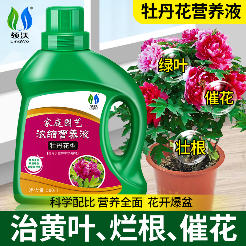 牡丹花营养液肥料专用肥家庭园艺