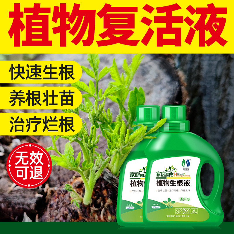 大树生根液枯树再生复活液树木移栽壮苗剂植物通用型营养液激活液