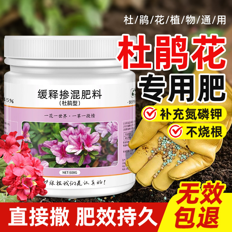 促开花通用杜鹃花肥料专用肥颗粒图片