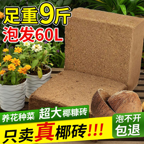 领沃椰砖椰糠营养土种菜专用