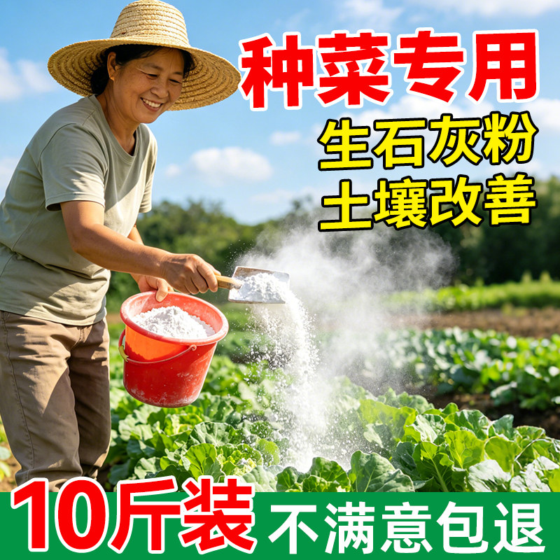 生石灰粉种菜专用高纯度防病虫害图片