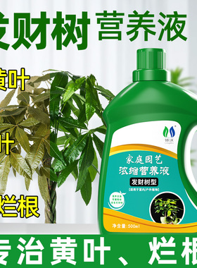 发财树专用营养液肥料室内盆栽植物土培水培通用肥治叶黄掉叶烂根