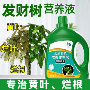 发财树专用营养液肥料室内盆栽植物土培水培通用肥治叶黄掉叶烂根