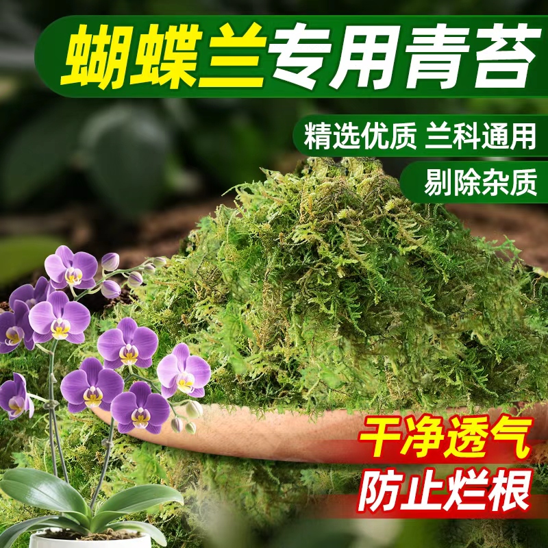 水苔蝴蝶兰专用营养土优质干苔藓