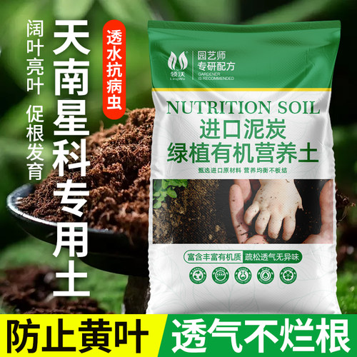 领沃天南星科专用土绿萝红掌观叶