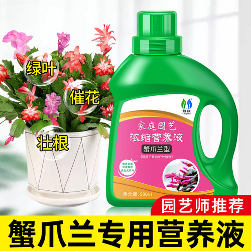 蟹爪兰专用营养液花卉植物通用型