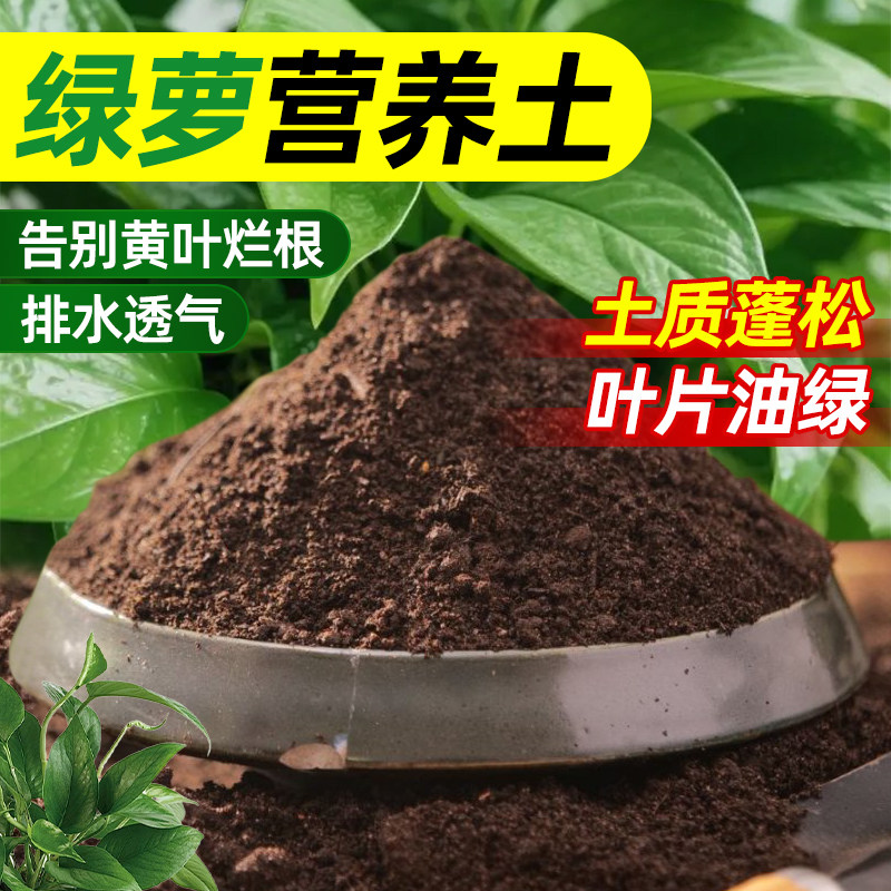 绿萝专用花土营养土通用型家用图片
