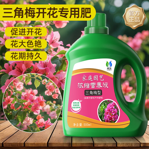 三角梅开花专用肥营养液爆花