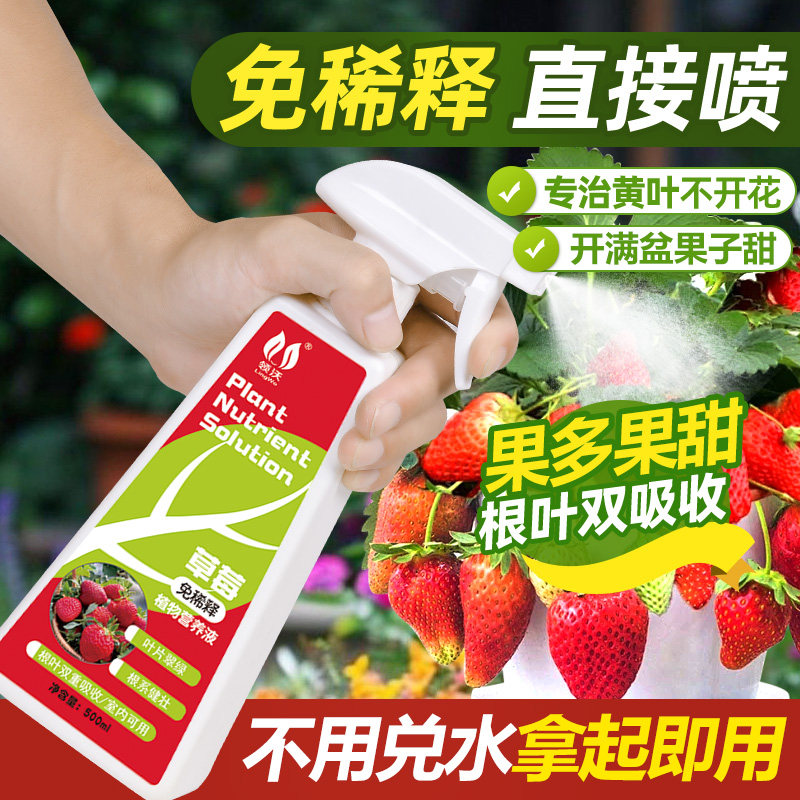 草莓专用营养液植物通用型免稀释家用绿植花卉室内阳台盆栽液体肥,鲜花速递/花卉仿真/绿植园艺,家庭园艺肥料,淘宝优惠券,粉丝福利购,淘宝优惠卷