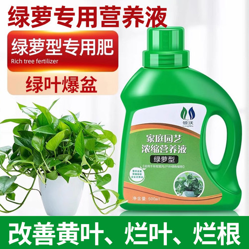 绿萝专用营养液室内盆栽植物专用