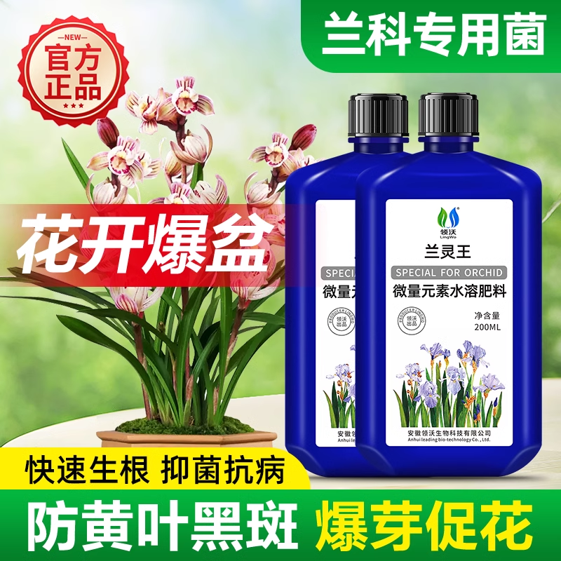 兰灵王兰花专用营养液君子兰肥料治黄叶焦尖叶子杀菌药水爆芽素