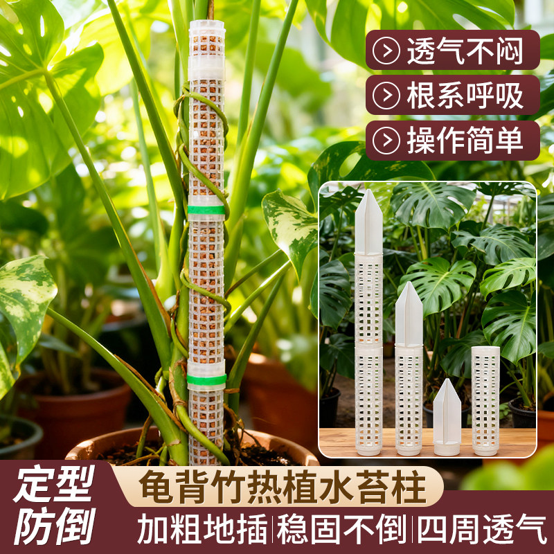 水苔柱爬藤植物专用新型加厚加粗图片