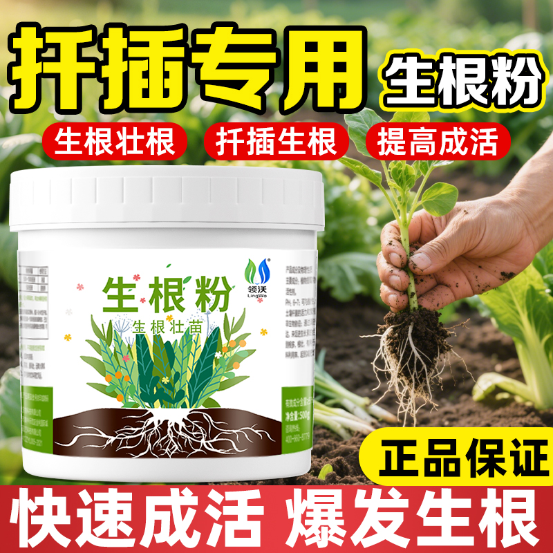 扦插专用生根粉移栽植物通用粉剂