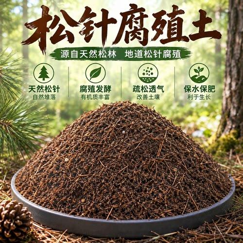 天然纯松针腐殖土腐叶腐熟土
