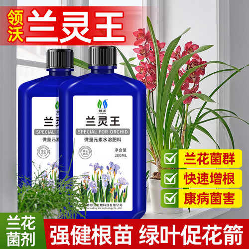 兰灵王专用营养液治黄叶黑斑促根