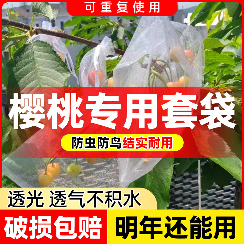 领沃樱桃套袋专用保护袋尼龙网袋