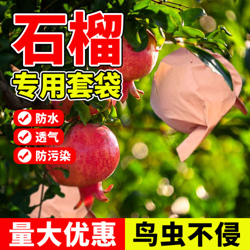 领沃石榴纸袋水果套袋可防虫防鸟