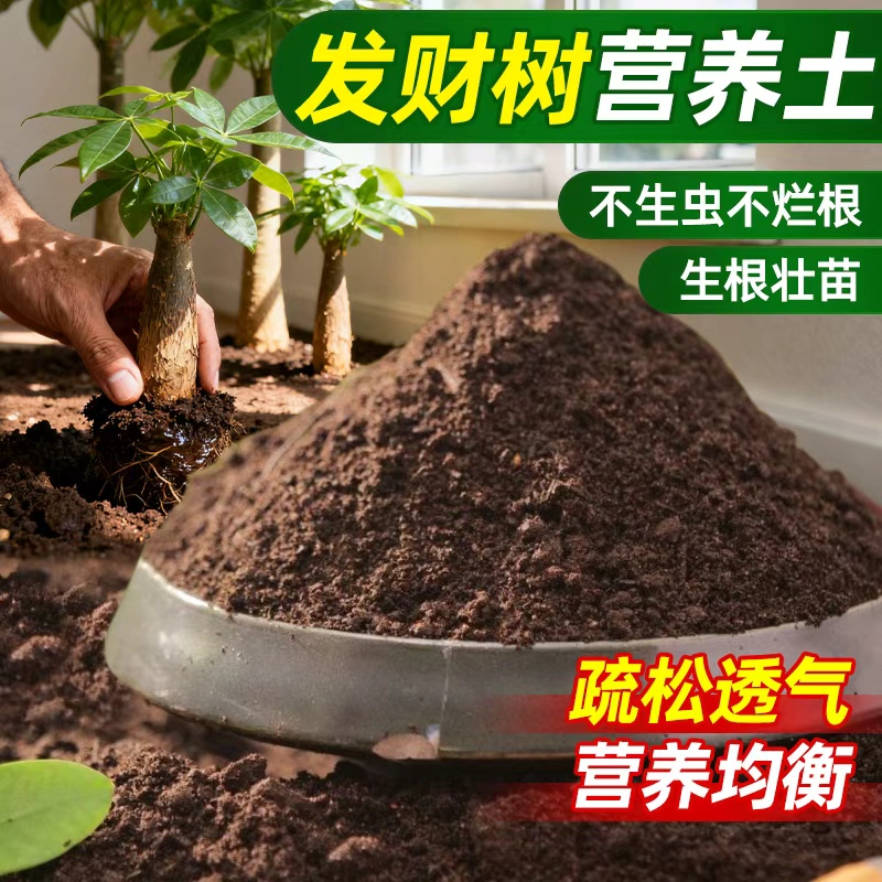 发财树专用营养土室内阳台家用绿植有机土育苗官方园艺种植土花土