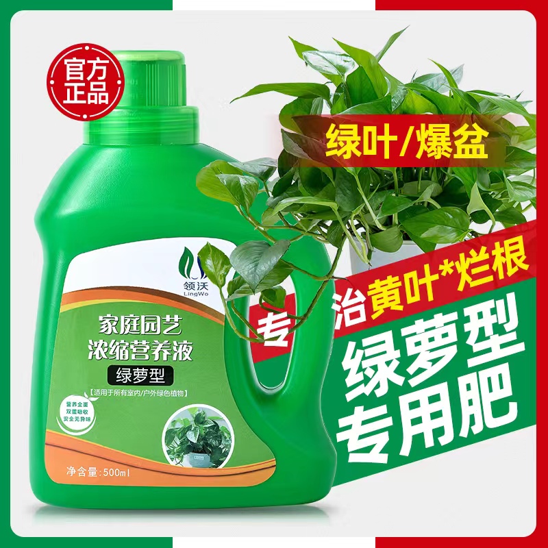 营养液绿萝专用肥料水培植物盆栽家用绿箩吊兰土培养花通用液体肥