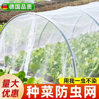 防虫网种菜专用网罩农用防护网