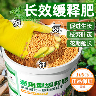 缓释肥植物专用颗粒肥家用农用室内外庭院花卉绿植通用型氮磷钾肥
