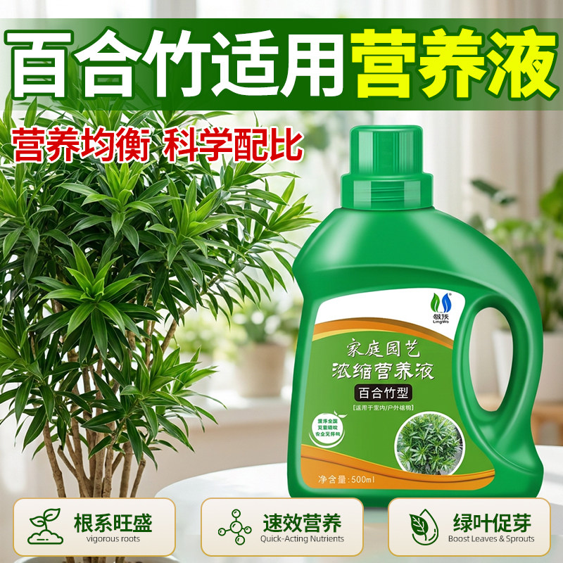 百合竹营养液治黄叶烂根焦尖图片