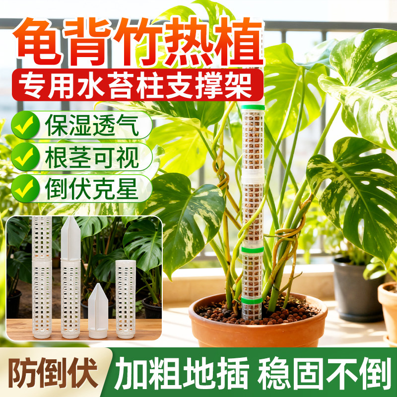 水苔柱爬藤植物专用新型加厚加粗图片