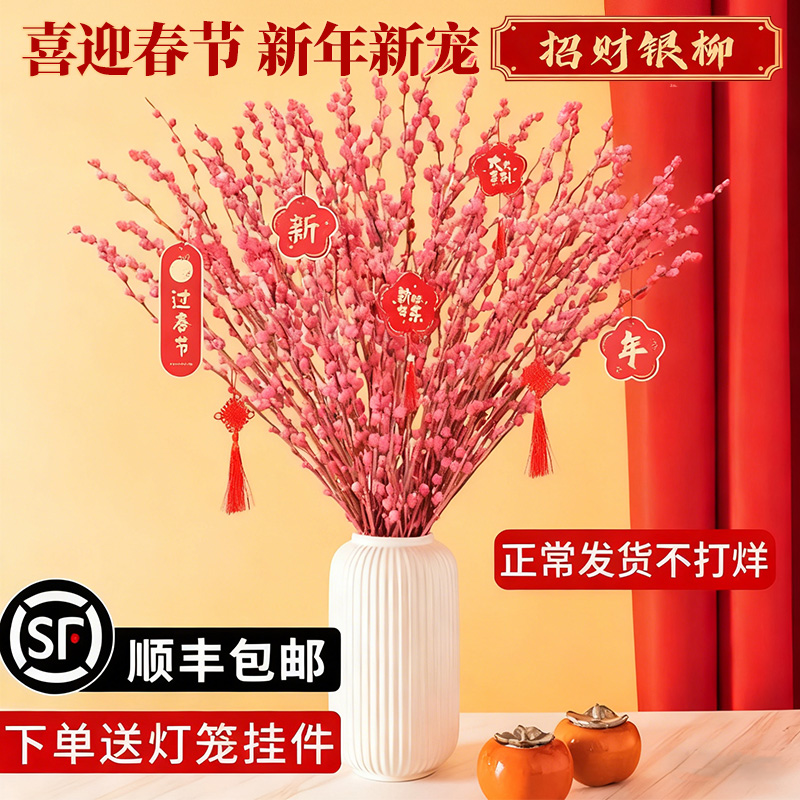 银柳真花鲜枝粉色干花喜庆年宵花