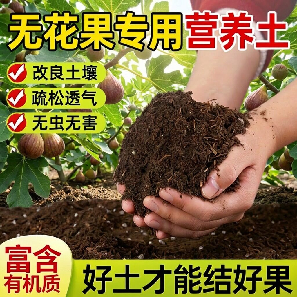 无花果专用土肥料营养土果树育苗专用盆栽种植有机质疏松透气土壤