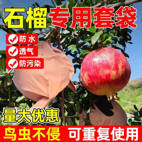 防鸟防虫透气通用型石榴套袋领沃